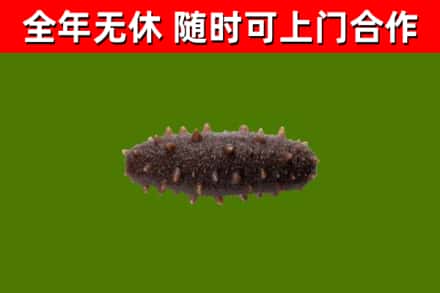 宛城区烟酒回收干海参.jpg